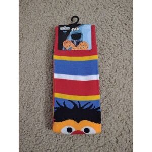 Sesame Street Character Sock Bert